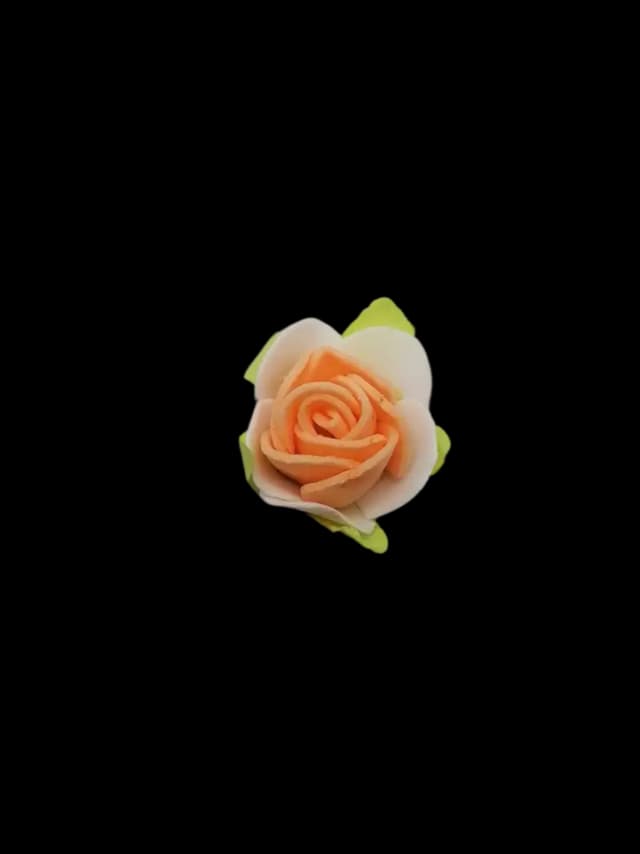 Rose Foamic Medium